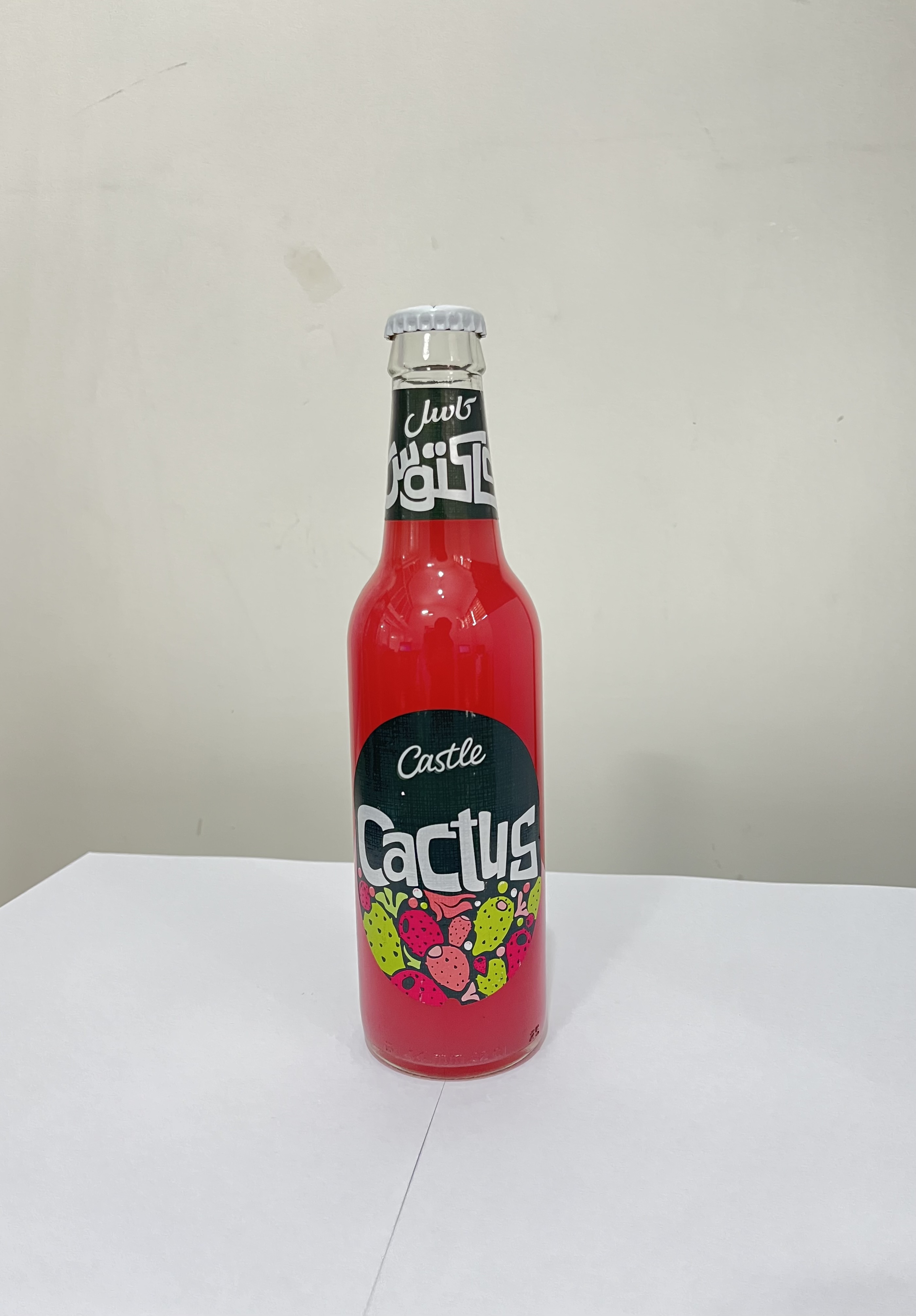 کاکتوس شیشه کاسل / بسته 12 عددی